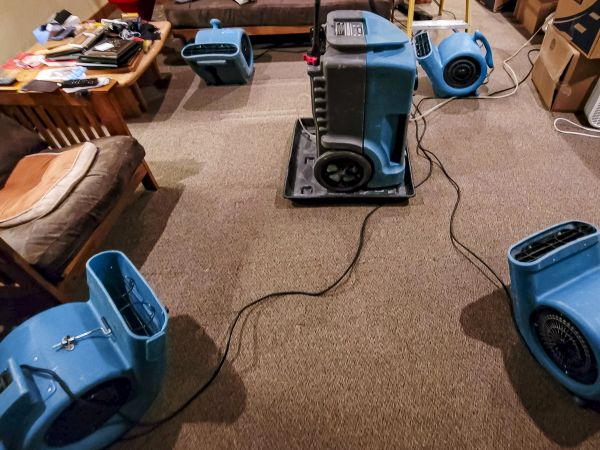 Cost of Flood Damage Recovery in Springfield