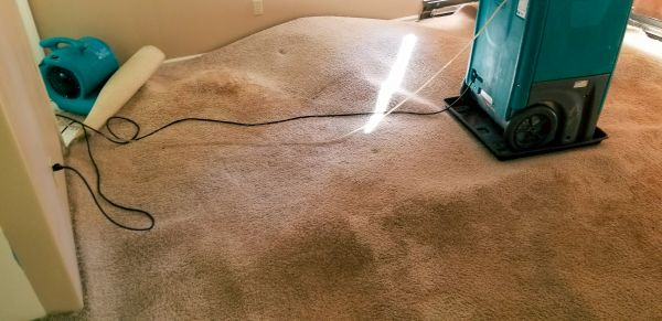 Cost of Carpet Water Extraction in Springfield