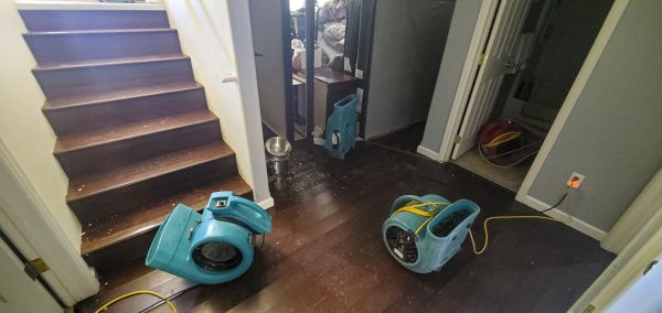 Cost of Water Damage Remediation in Springfield