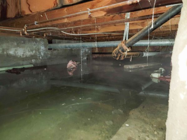 Cost of Water Mitigation Service in Springfield